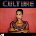 culture-more-culture-2